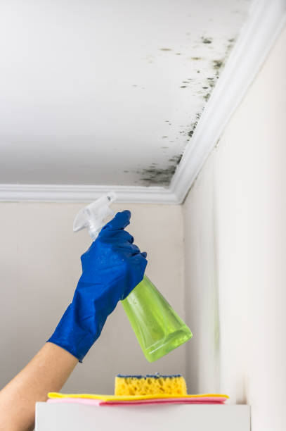 Water Damage Restoration in Sidney, OH